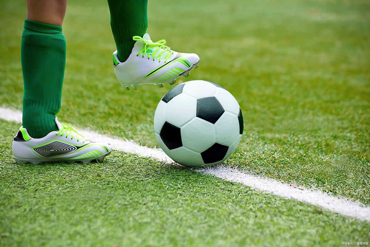 这些细小的 这些细小的